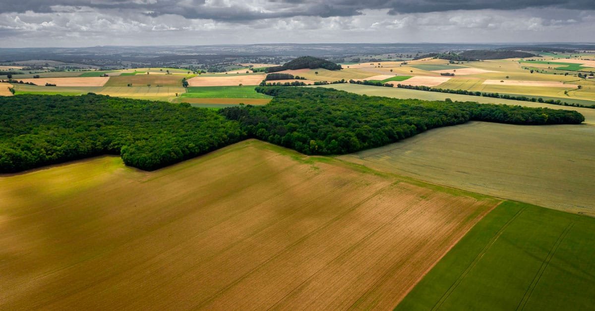 Propriedade rural usada como garantia em empréstimo com imóvel rural